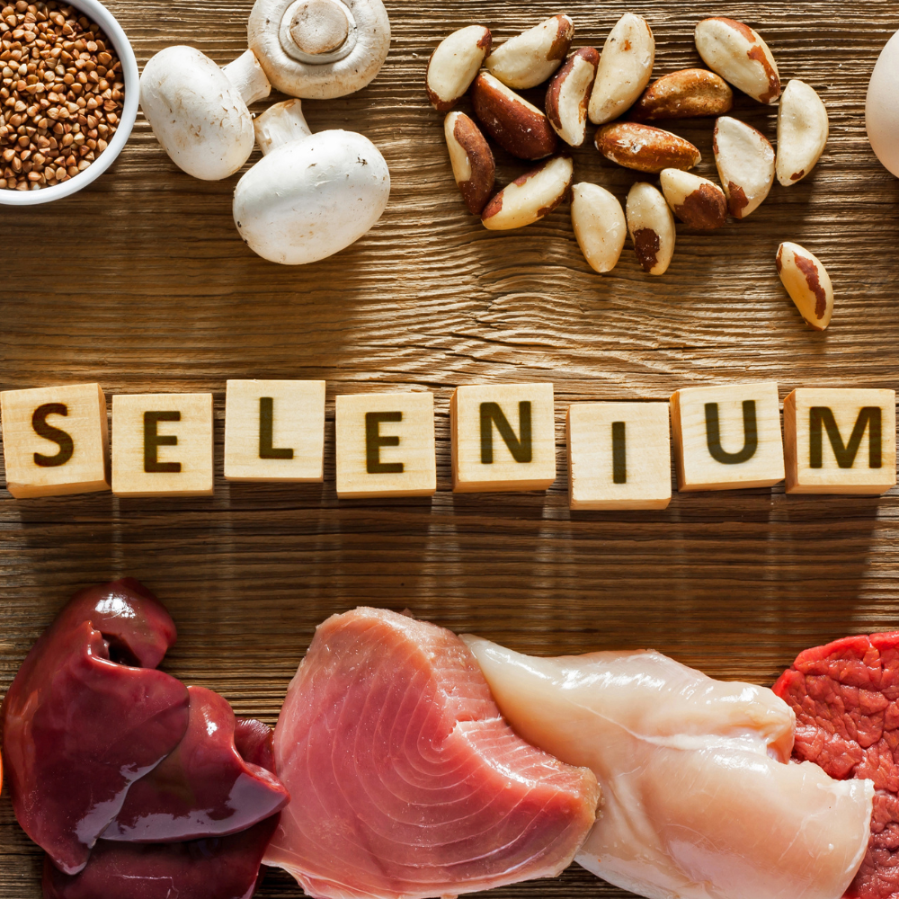 How Selenium Supports Thyroid Health and Metabolism