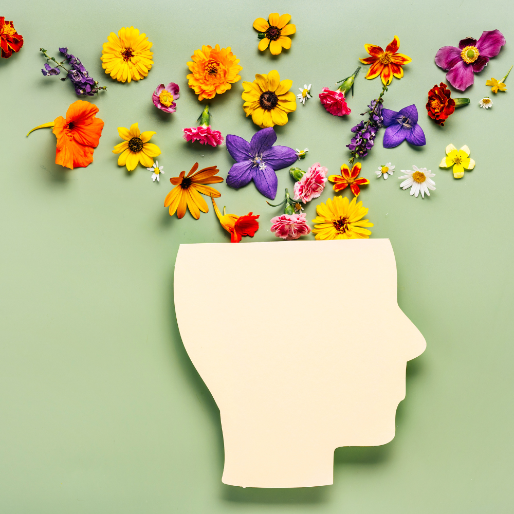 How Adaptogens Can Enhance Mental Focus and Resilience